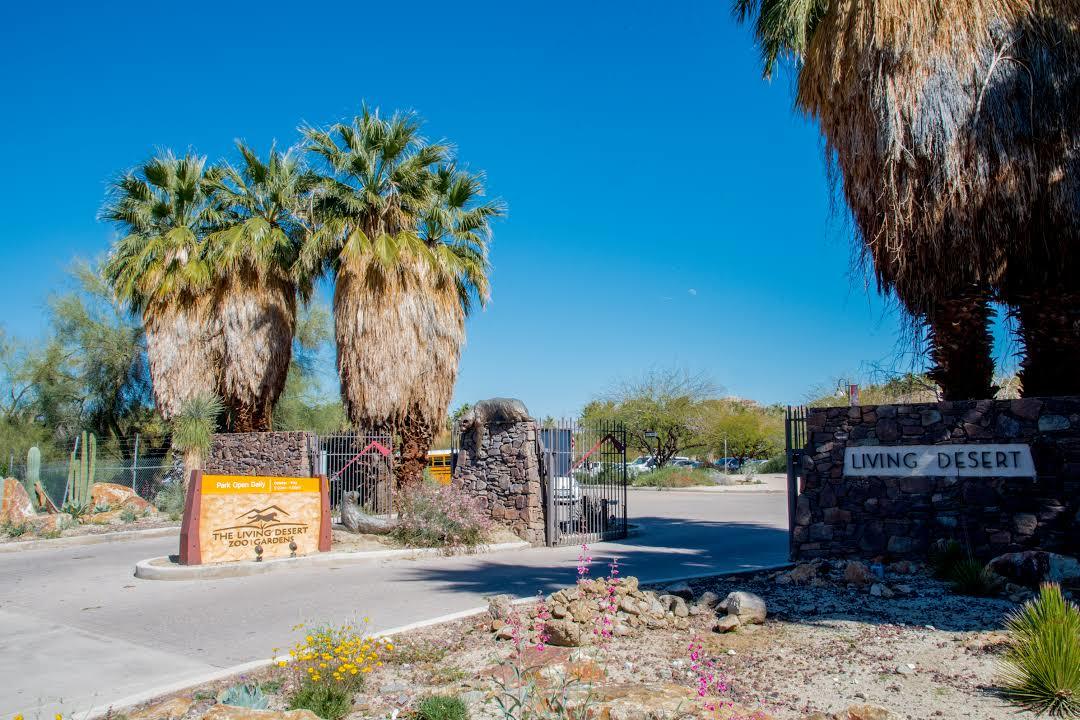 Living Desert Zoo and Gardens